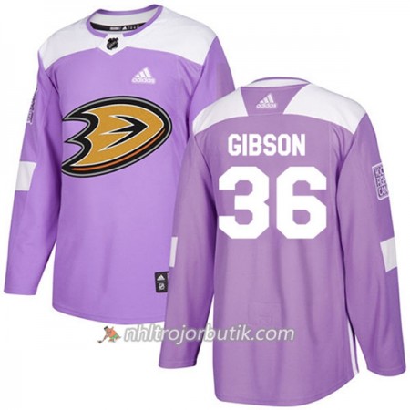 Män Ishockey Anaheim Ducks Tröja John Gibson 36 Adidas 2017-2018 Lila Fights Cancer Practice Authentic